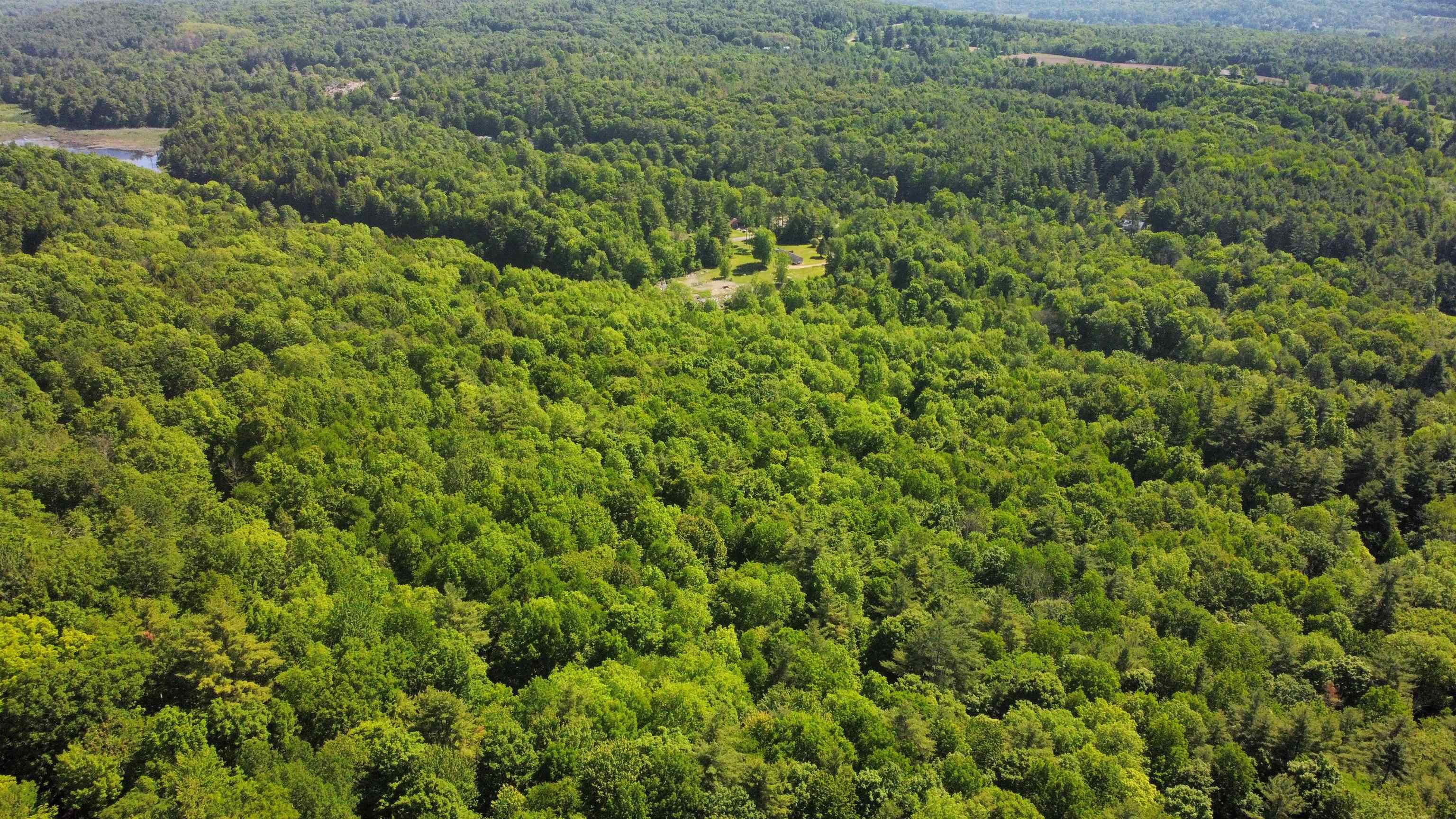 0 Bullfrog Hollow Road Wells, VT 05774 - Photo 16 of 26