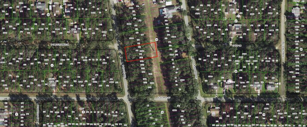 913 North Rooks Avenue Inverness, FL 34453 - Photo 2 of 3