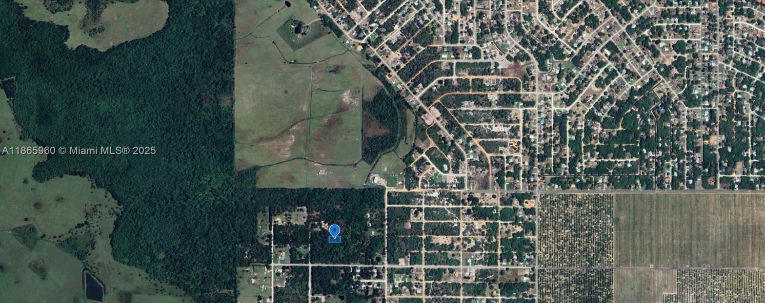 3175 West Foli Road Avon Park, FL 33825 - Photo 2 of 6 view of a pathway