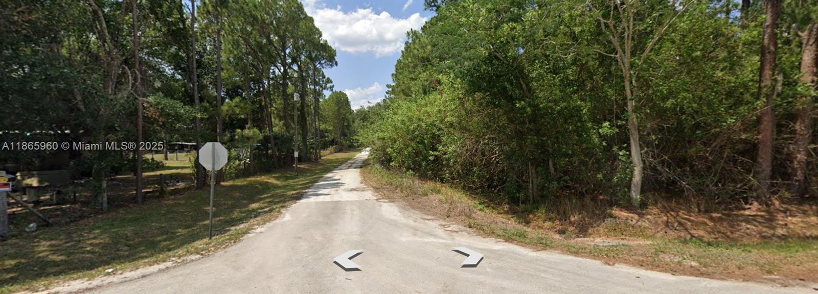 3175 West Foli Road Avon Park, FL 33825 - Photo 4 of 6 a view of a yard with plants and trees