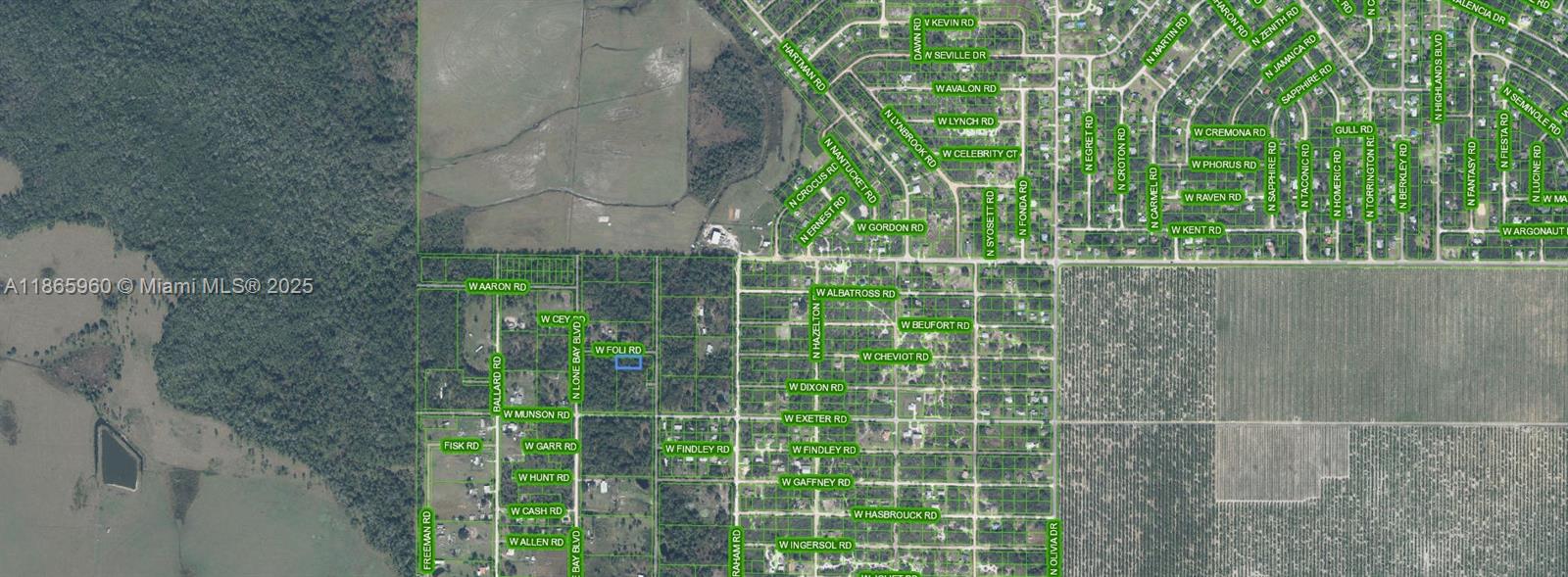 3175 West Foli Road Avon Park, FL 33825 - Photo 6 of 6 a view of a plant in a garden