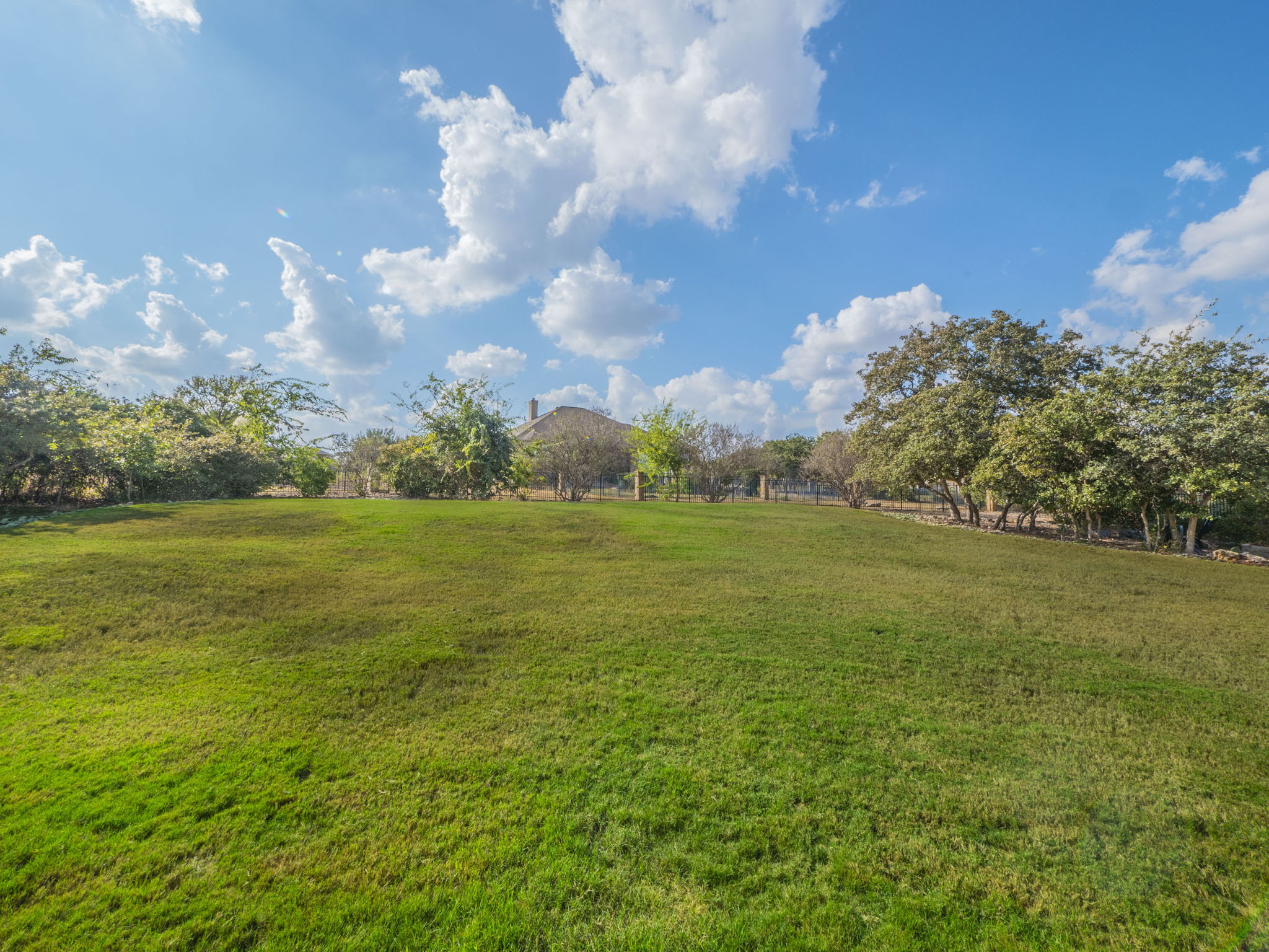 205 Standing Oak Drive Georgetown, TX 78633 - Photo 28 of 31 a view of a big yard with lots of green space