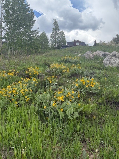 71 V Road Silverthorne, CO 80498 - Photo 21 of 30 Gallery Image 21