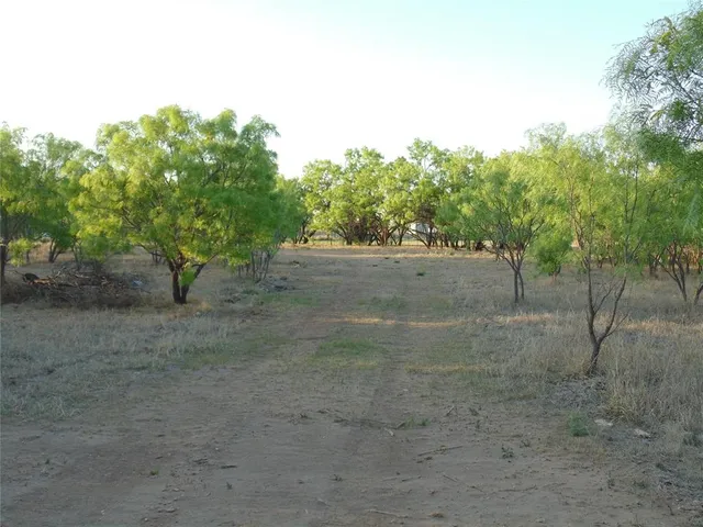 a view of a yard with a tree