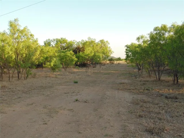 a view of dirt road with trees in the background