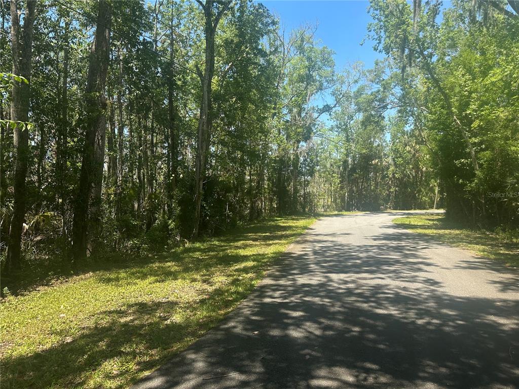 650 Miller Creek Road Crystal River, FL 34428 - Photo 8 of 9