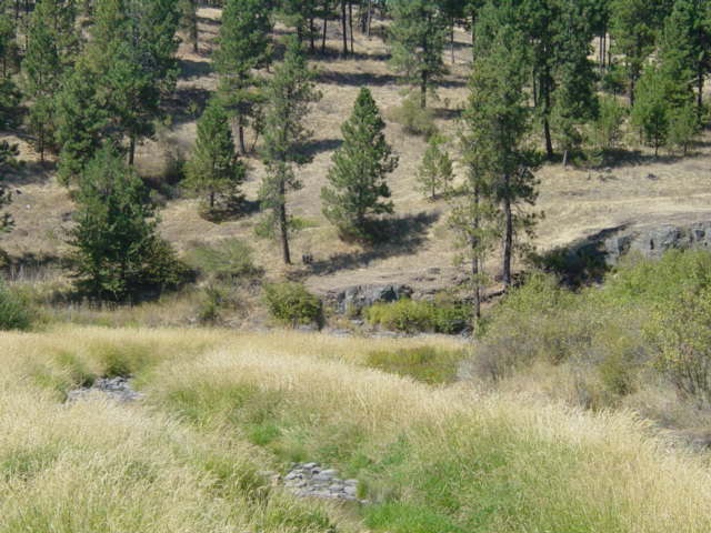 26714 South North Kentuck Trails Road Fairfield, WA 99012 - Photo 2 of 20 Gallery Image 2