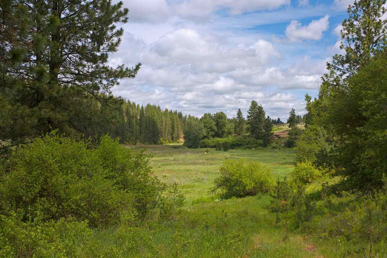 26714 South North Kentuck Trails Road Fairfield, WA 99012 - Photo 3 of 20 Gallery Image 3