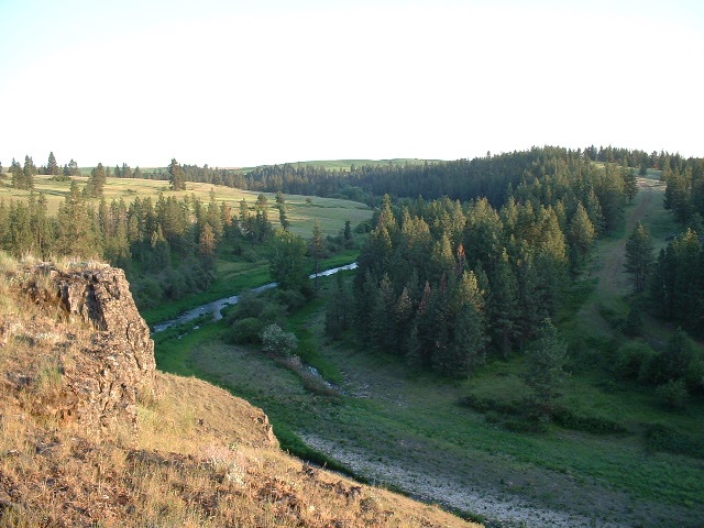 26714 South North Kentuck Trails Road Fairfield, WA 99012 - Photo 4 of 20 Gallery Image 4