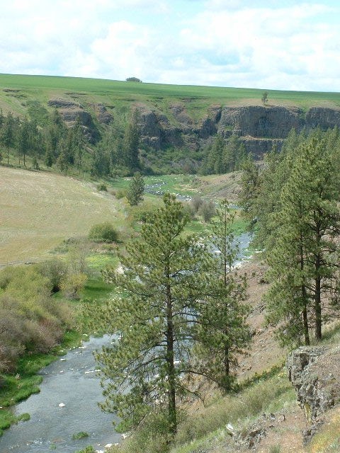 26714 South North Kentuck Trails Road Fairfield, WA 99012 - Photo 8 of 20 Gallery Image 8