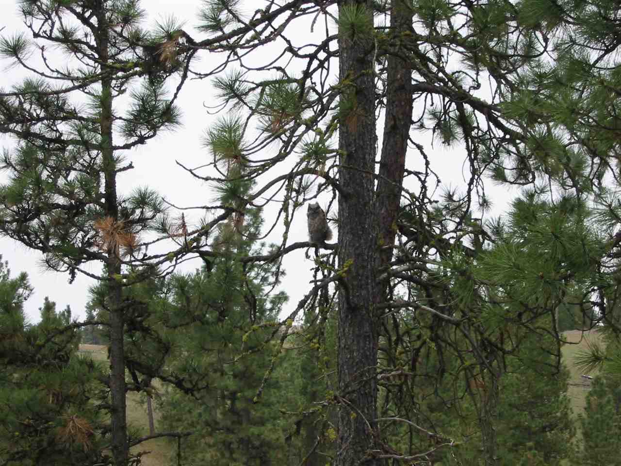 26714 South North Kentuck Trails Road Fairfield, WA 99012 - Photo 10 of 20 Gallery Image 10