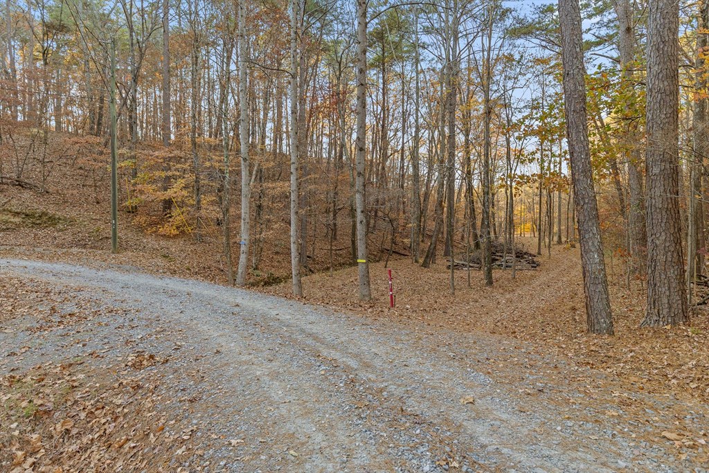 2903 Old Federal Road South Chatsworth, GA 30705 - Photo 11 of 86