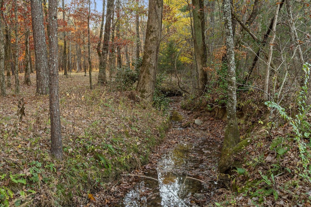 2903 Old Federal Road South Chatsworth, GA 30705 - Photo 13 of 86