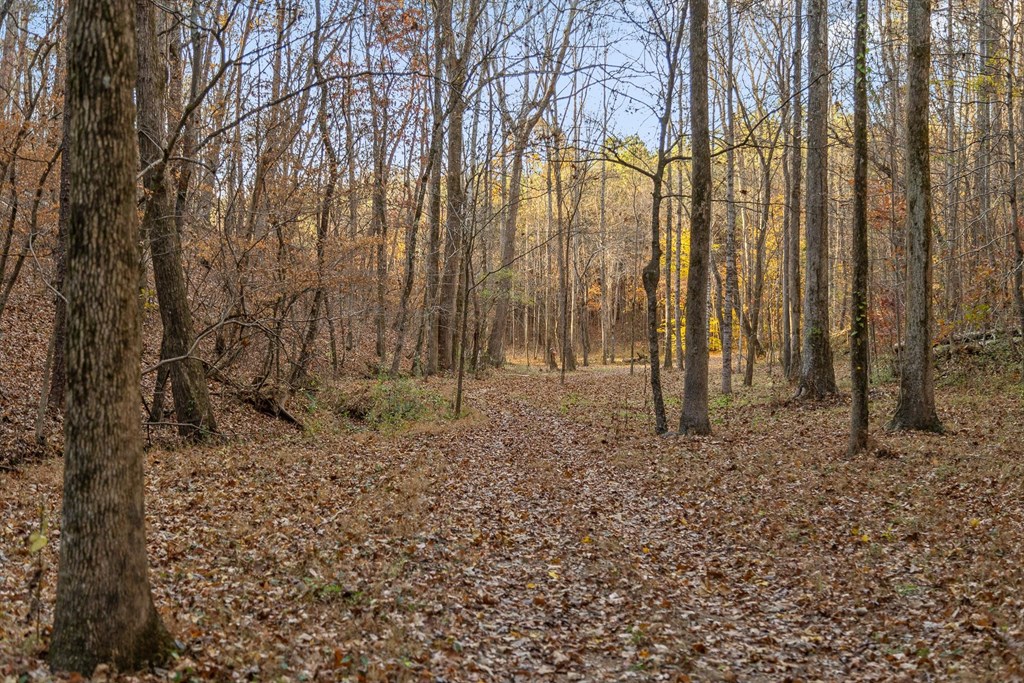 2903 Old Federal Road South Chatsworth, GA 30705 - Photo 14 of 86