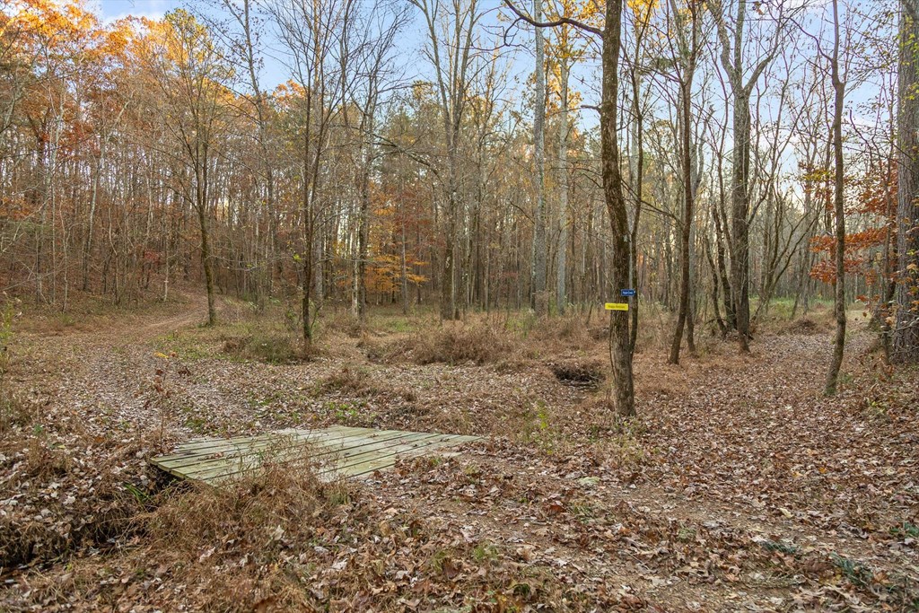 2903 Old Federal Road South Chatsworth, GA 30705 - Photo 15 of 86