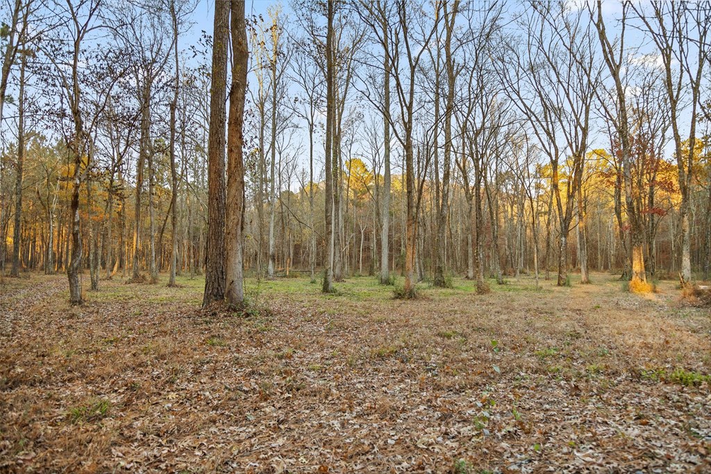 2903 Old Federal Road South Chatsworth, GA 30705 - Photo 16 of 86