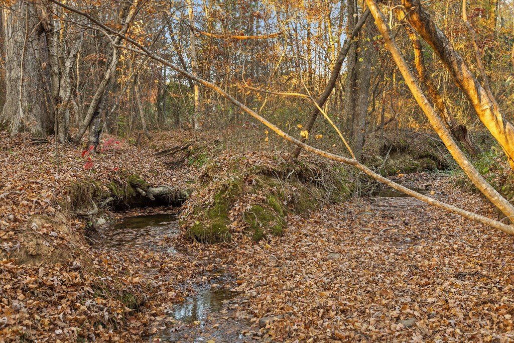 2903 Old Federal Road South Chatsworth, GA 30705 - Photo 18 of 86