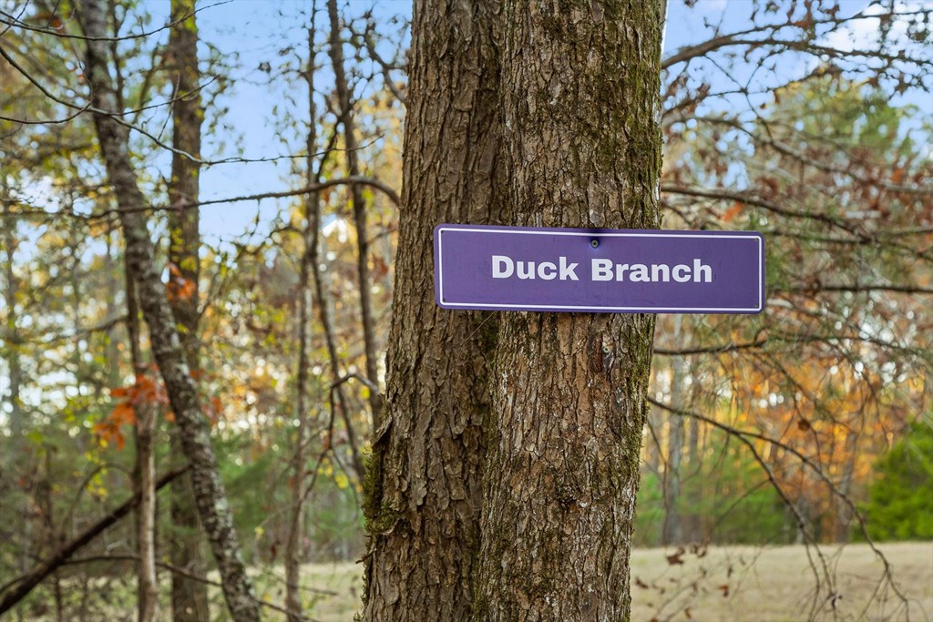 2903 Old Federal Road South Chatsworth, GA 30705 - Photo 20 of 86