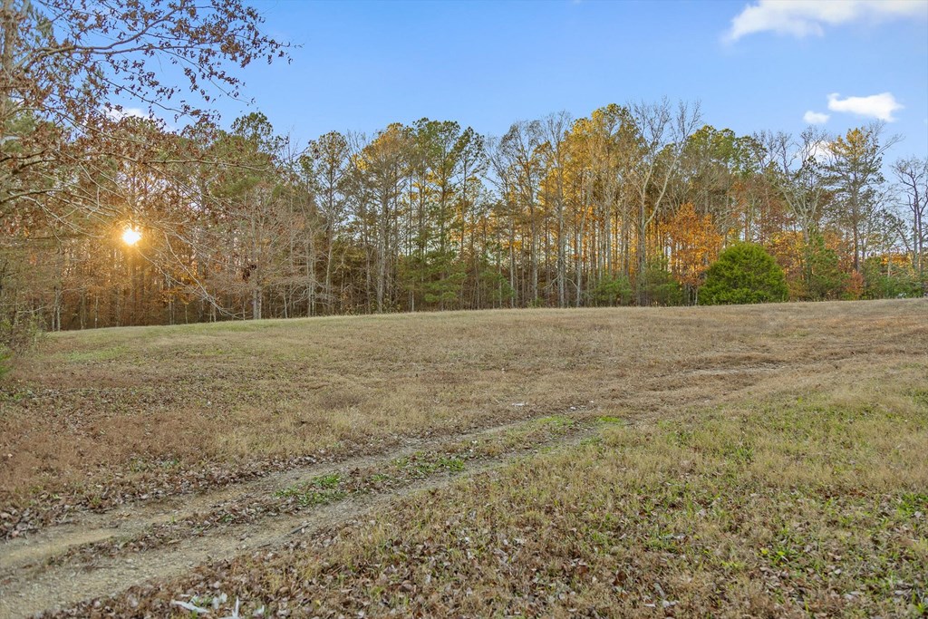 2903 Old Federal Road South Chatsworth, GA 30705 - Photo 21 of 86