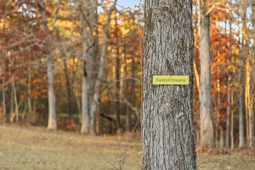 2903 Old Federal Road South Chatsworth, GA 30705 - Photo 22 of 86
