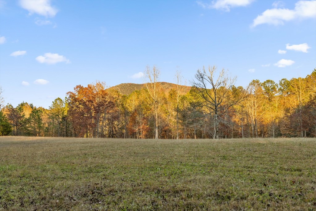2903 Old Federal Road South Chatsworth, GA 30705 - Photo 23 of 86
