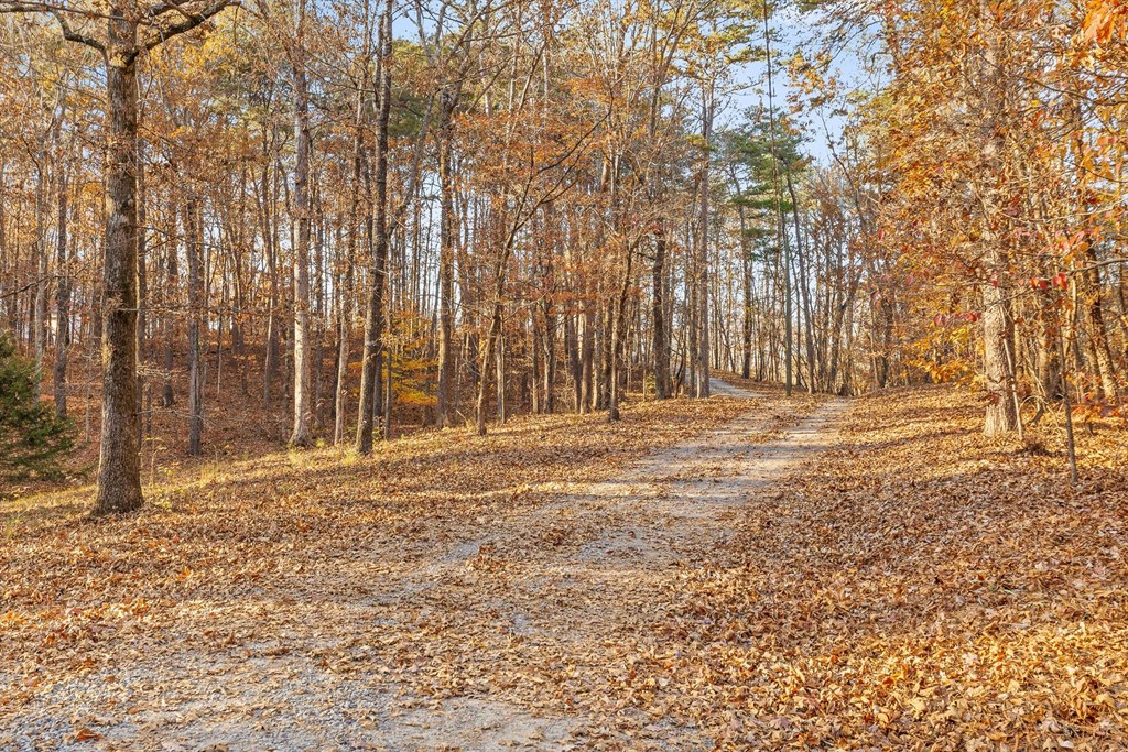 2903 Old Federal Road South Chatsworth, GA 30705 - Photo 25 of 86