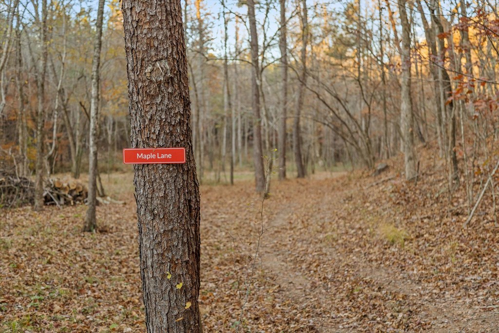 2903 Old Federal Road South Chatsworth, GA 30705 - Photo 26 of 86