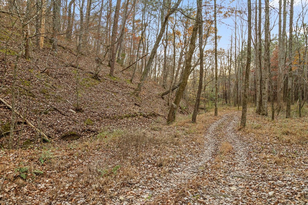 2903 Old Federal Road South Chatsworth, GA 30705 - Photo 27 of 86