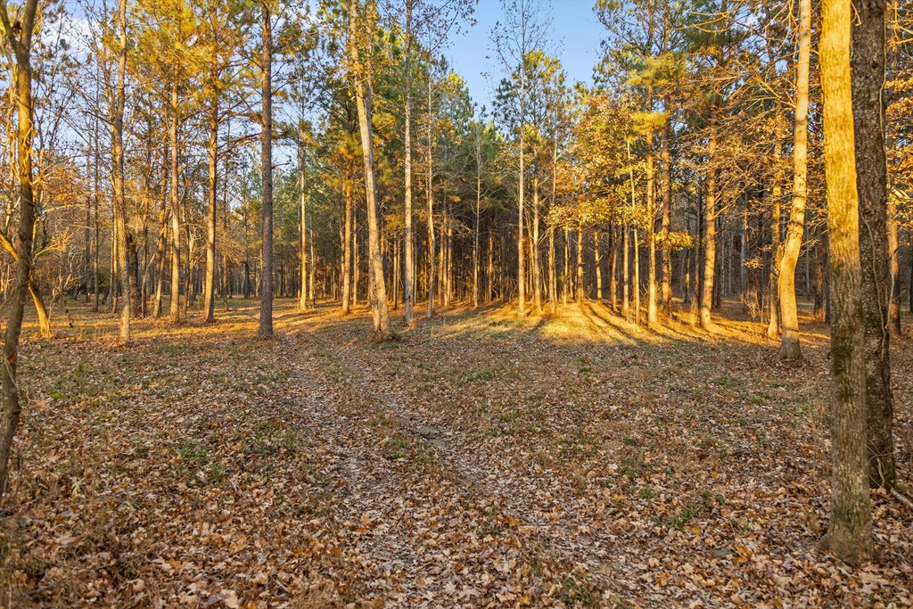 2903 Old Federal Road South Chatsworth, GA 30705 - Photo 28 of 86