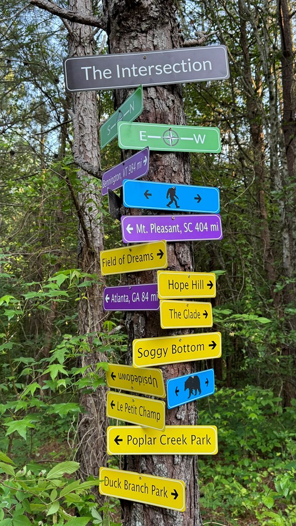 2903 Old Federal Road South Chatsworth, GA 30705 - Photo 29 of 86