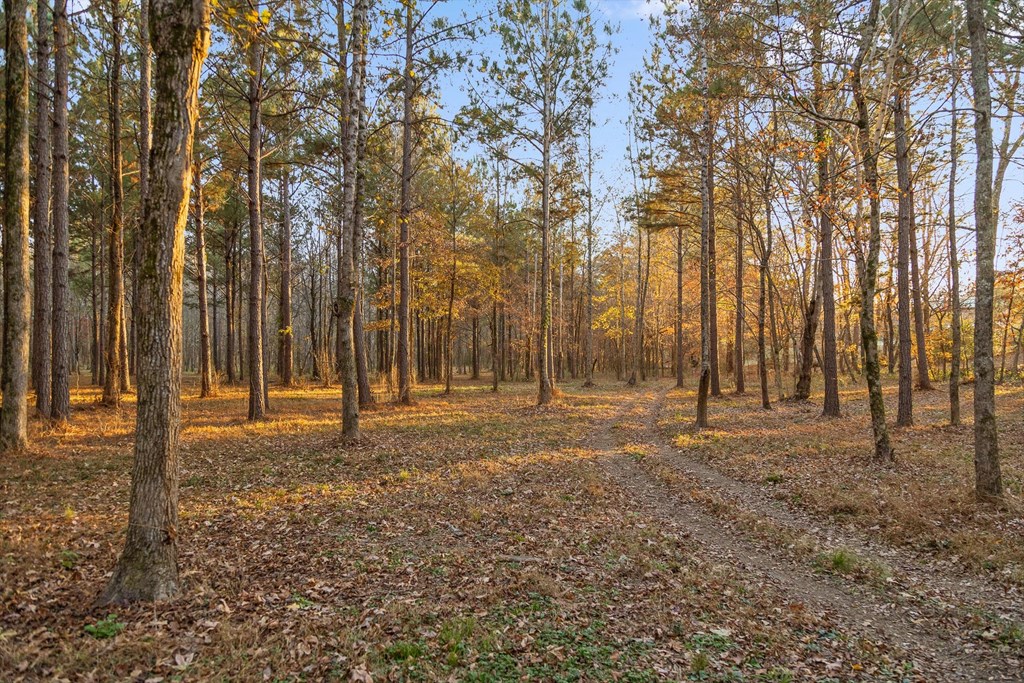 2903 Old Federal Road South Chatsworth, GA 30705 - Photo 30 of 86