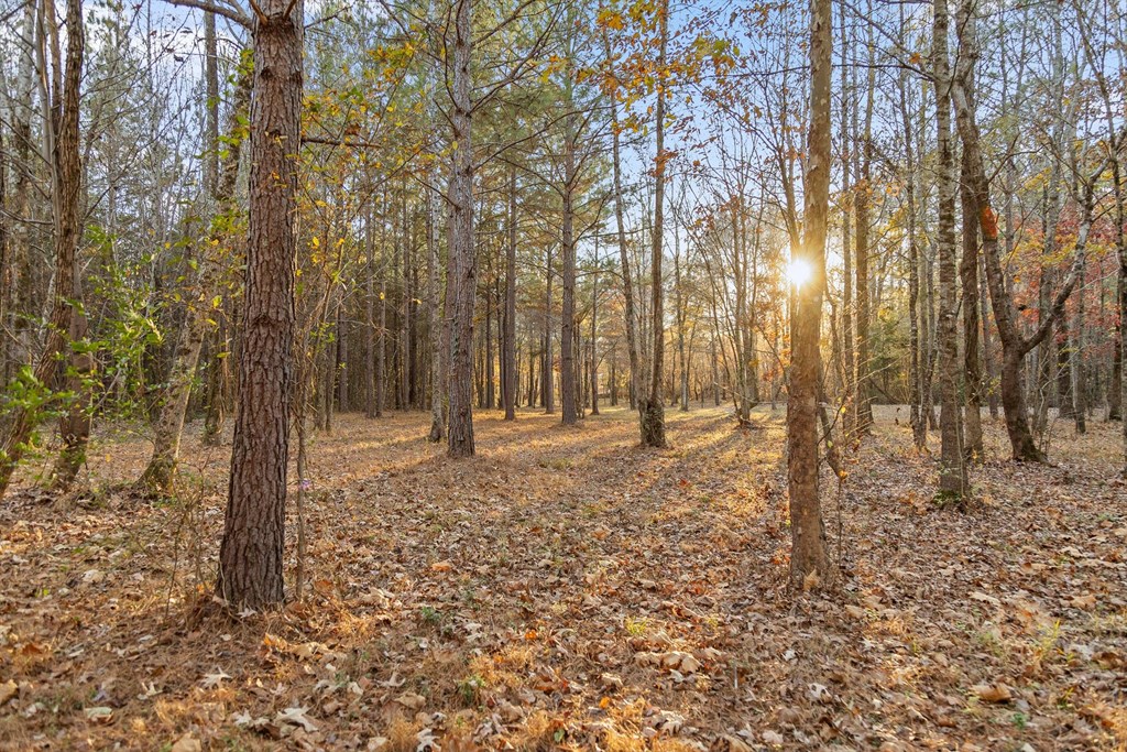 2903 Old Federal Road South Chatsworth, GA 30705 - Photo 31 of 86