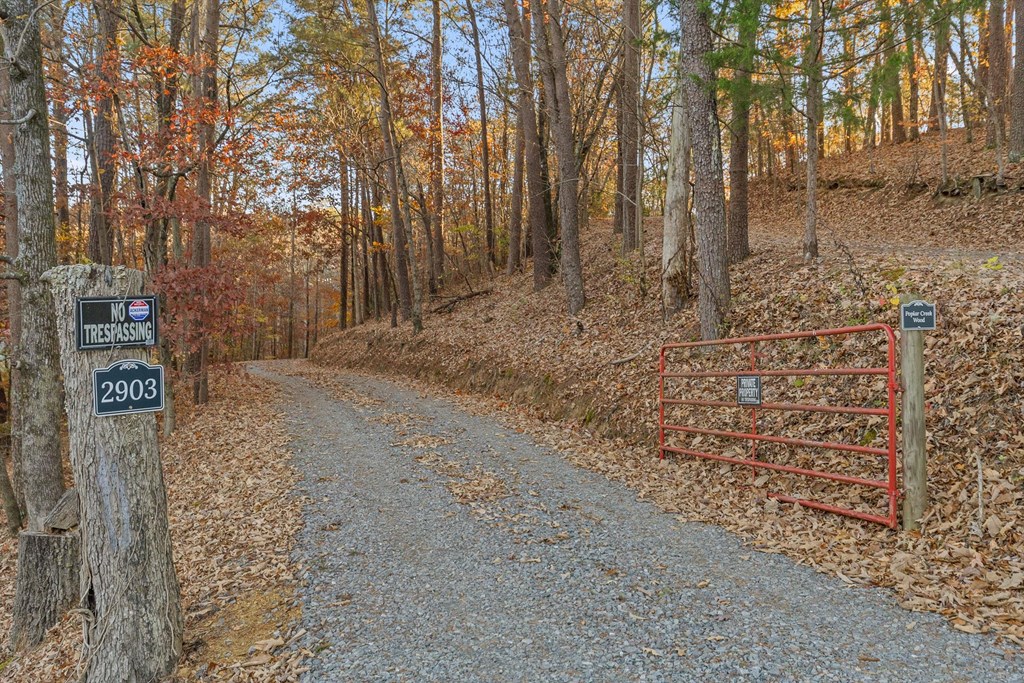 2903 Old Federal Road South Chatsworth, GA 30705 - Photo 6 of 86