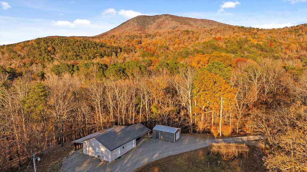 2903 Old Federal Road South Chatsworth, GA 30705 - Photo 66 of 86