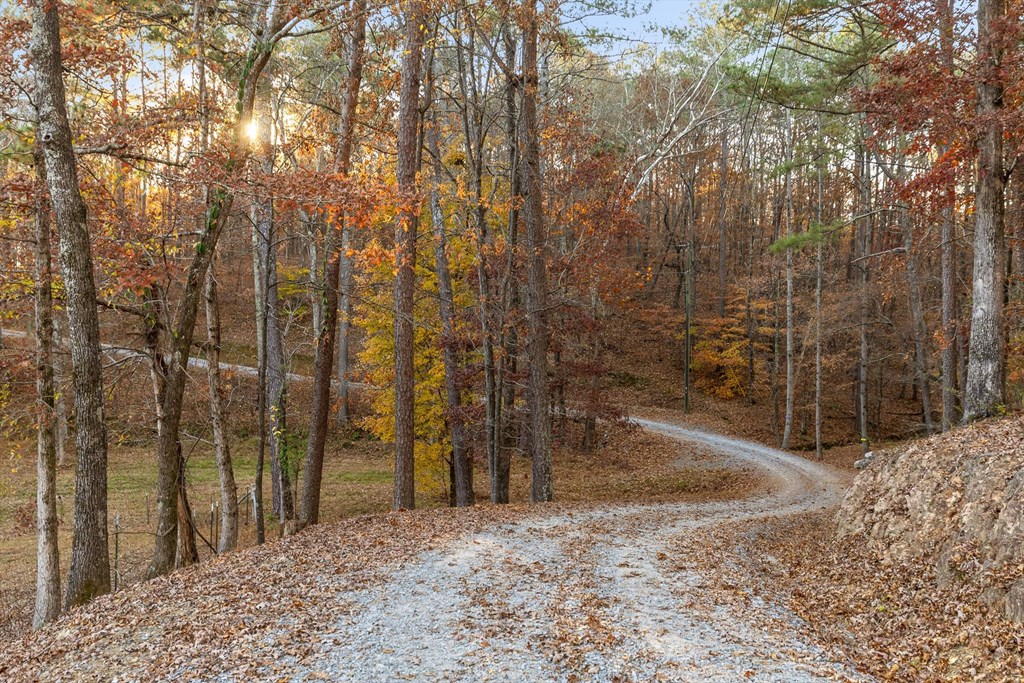 2903 Old Federal Road South Chatsworth, GA 30705 - Photo 7 of 86