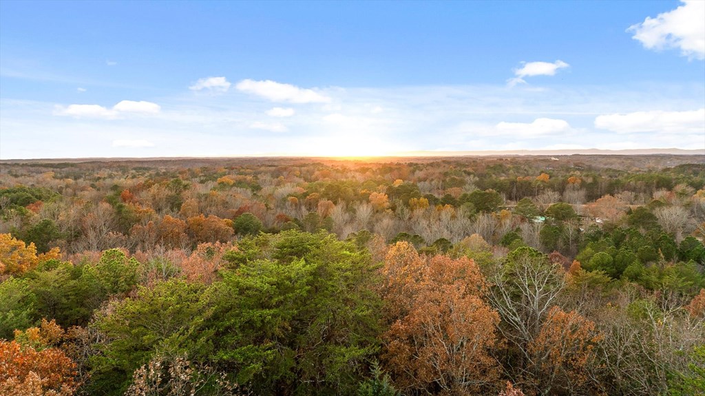 2903 Old Federal Road South Chatsworth, GA 30705 - Photo 73 of 86