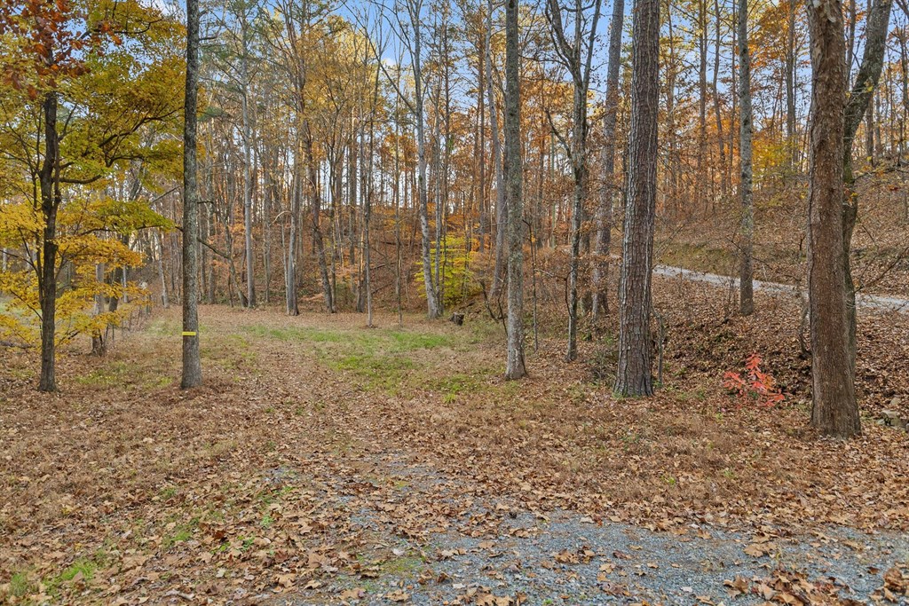 2903 Old Federal Road South Chatsworth, GA 30705 - Photo 8 of 86