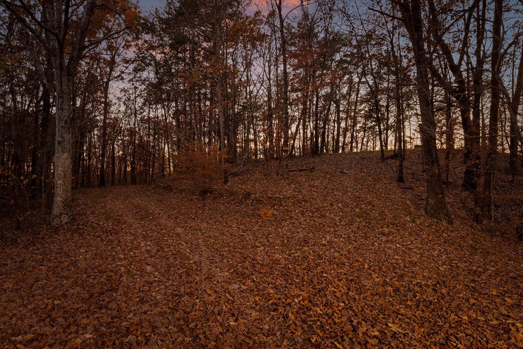 2903 Old Federal Road South Chatsworth, GA 30705 - Photo 84 of 86