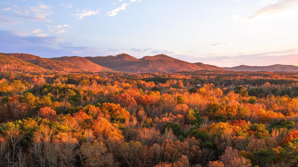 2903 Old Federal Road South Chatsworth, GA 30705 - Photo 86 of 86