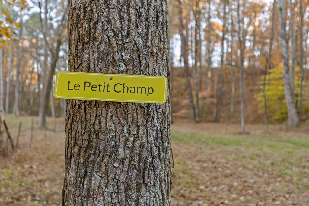 2903 Old Federal Road South Chatsworth, GA 30705 - Photo 9 of 86