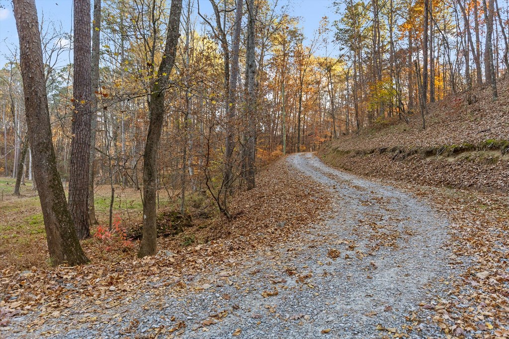 2903 Old Federal Road South Chatsworth, GA 30705 - Photo 10 of 86