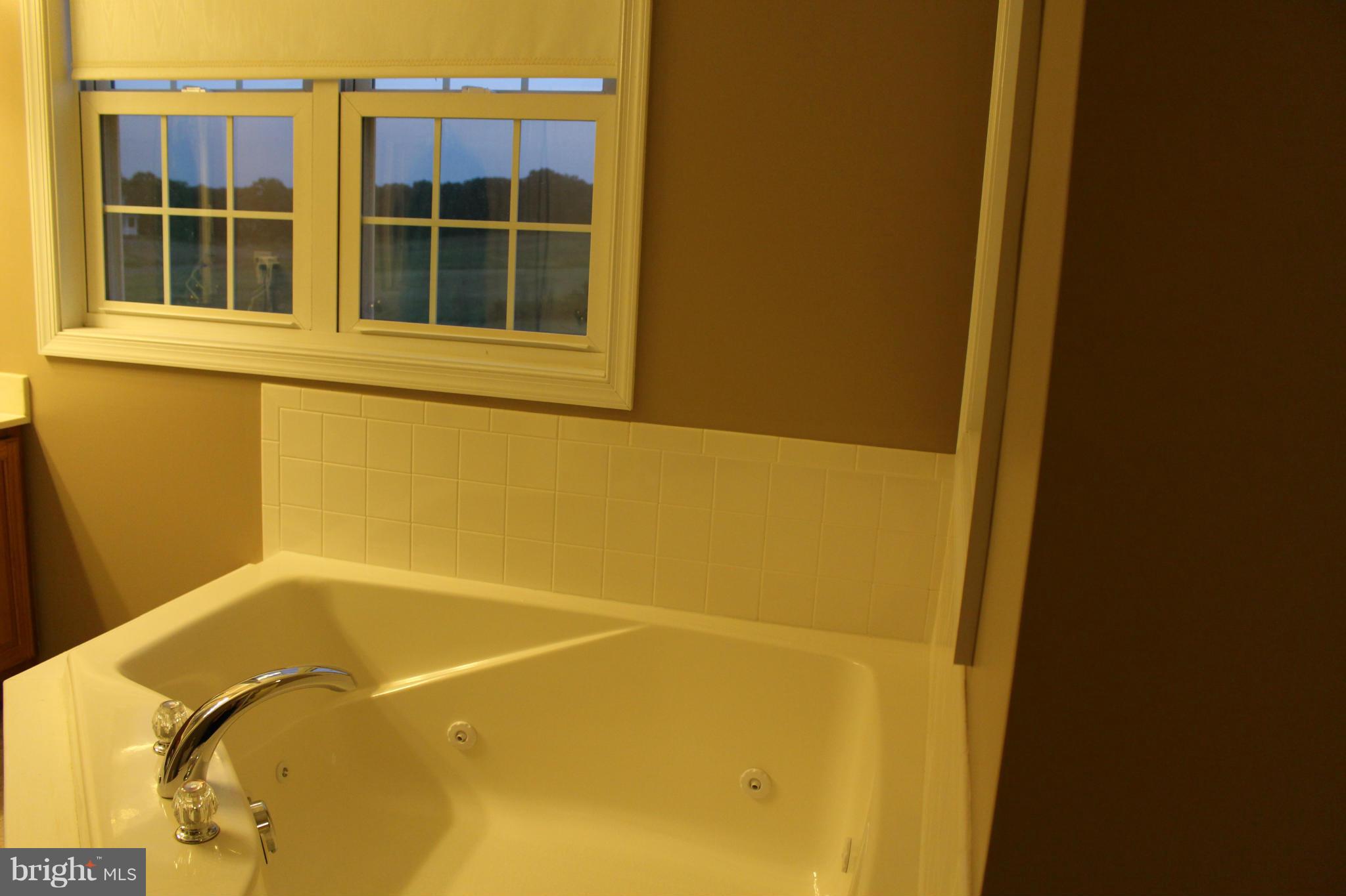 80 Lee Burke Road Front Royal, VA 22630 - Photo 19 of 30 Bath (Master)