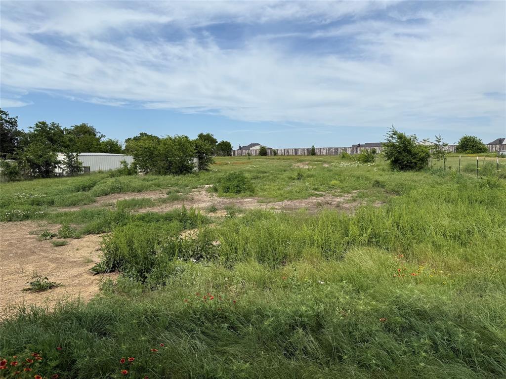 163 Red Fox Court Weatherford, TX 76088 - Photo 20 of 22 a view of a field of grass and trees