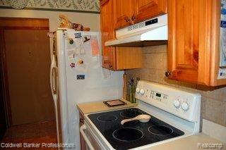 23665 Cedar Ridge Drive Romulus, MI 48174 - Photo 8 of 12 Kitchen2