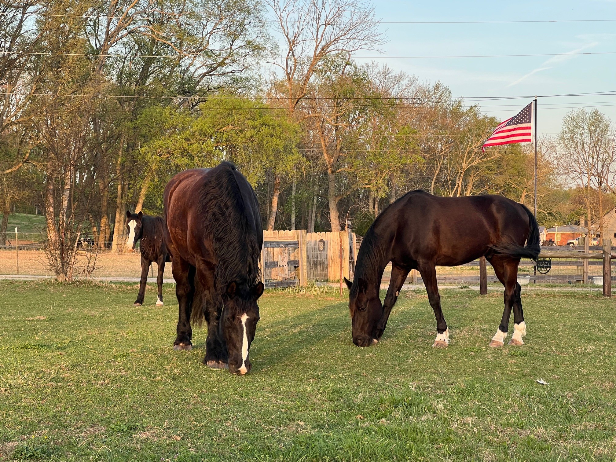 660 Allisona Road Eagleville, TN 37060 - Photo 2 of 2