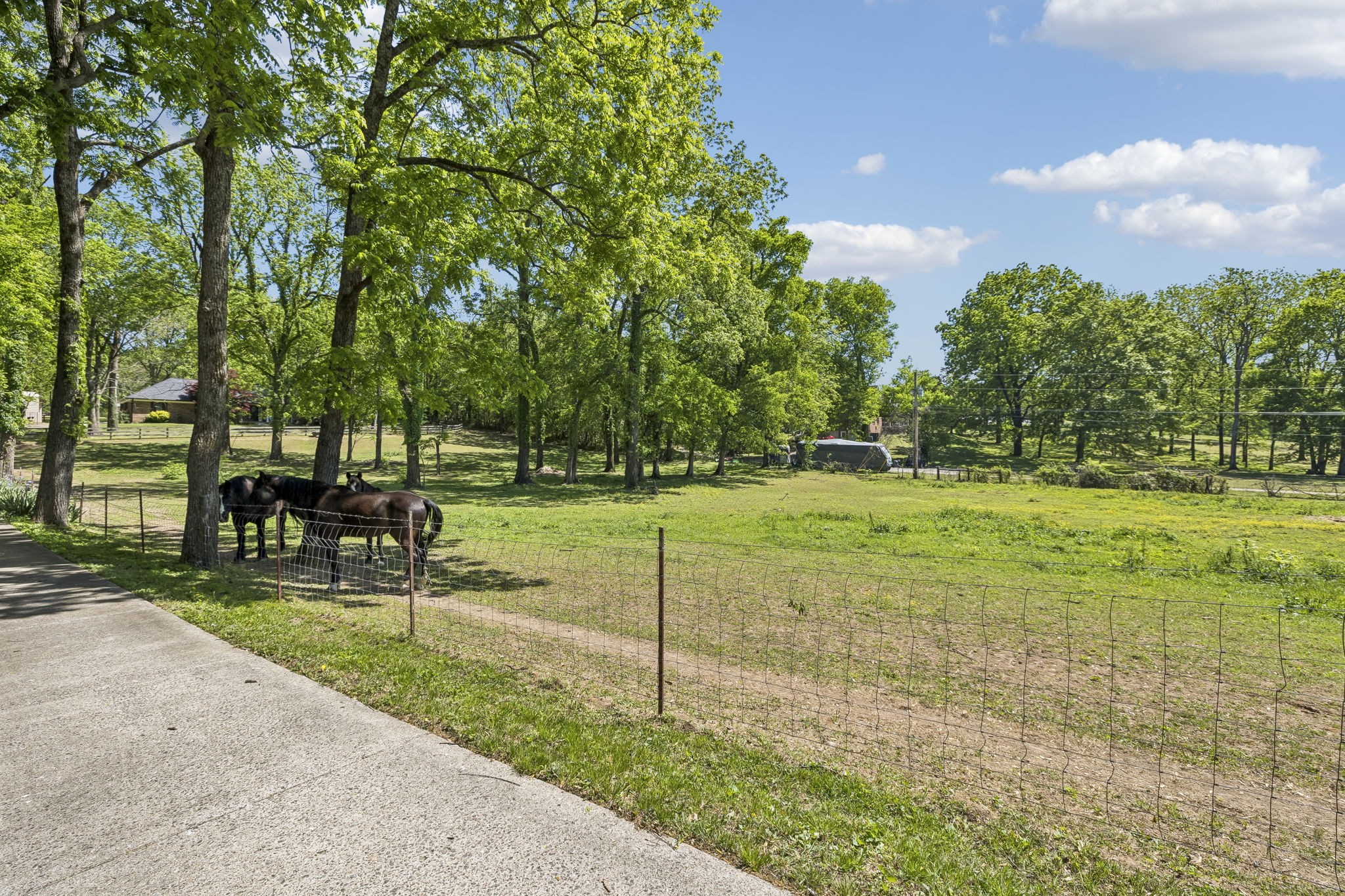660 Allisona Road Eagleville, TN 37060 - Photo 51 of 87 a view of a park with large trees