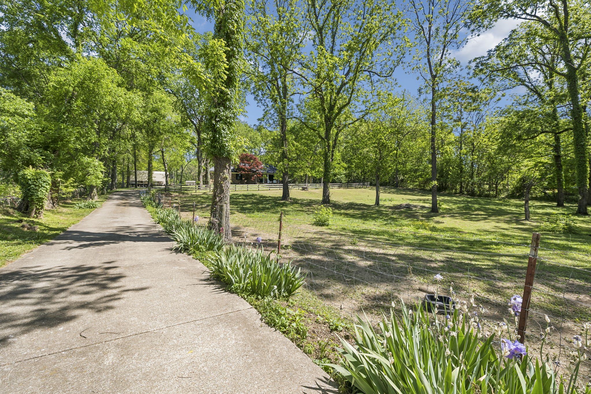 660 Allisona Road Eagleville, TN 37060 - Photo 54 of 87 a view of a park with large trees