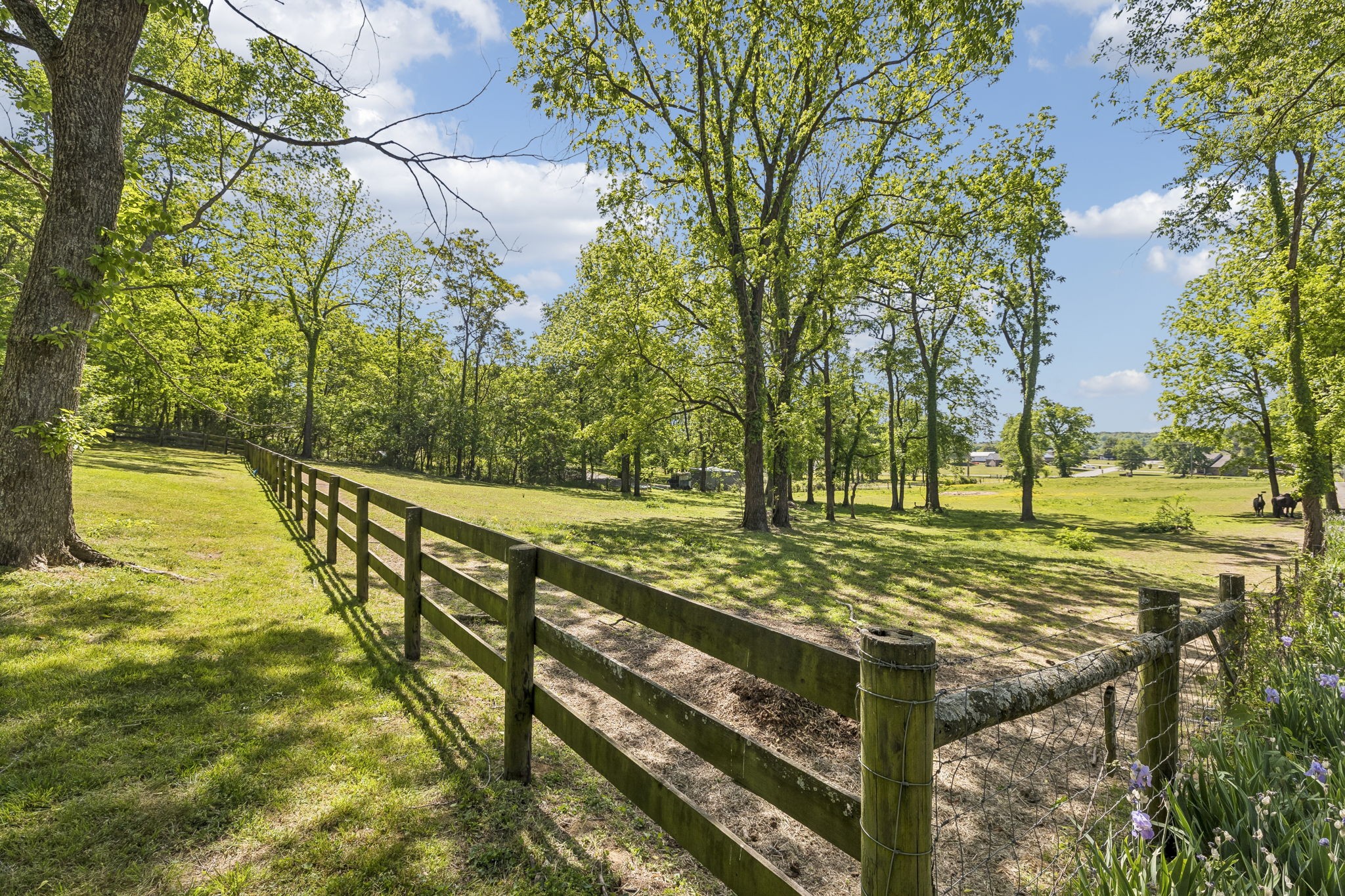 660 Allisona Road Eagleville, TN 37060 - Photo 56 of 87 a view of a yard with basketball court