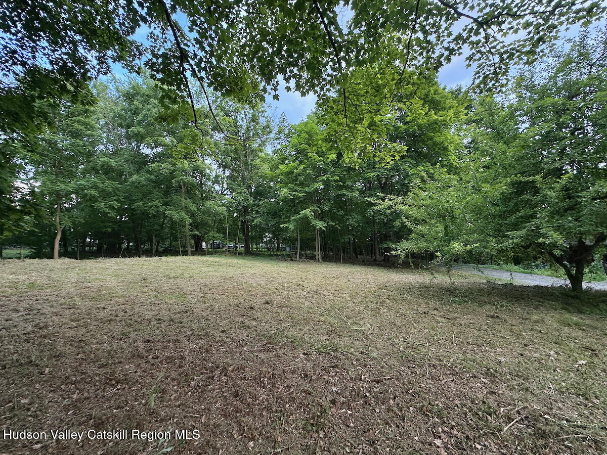 0 Murray Street, Unit PRIVATE Chatham, NY 12037 - Photo 11 of 19 a view of outdoor space with tree s