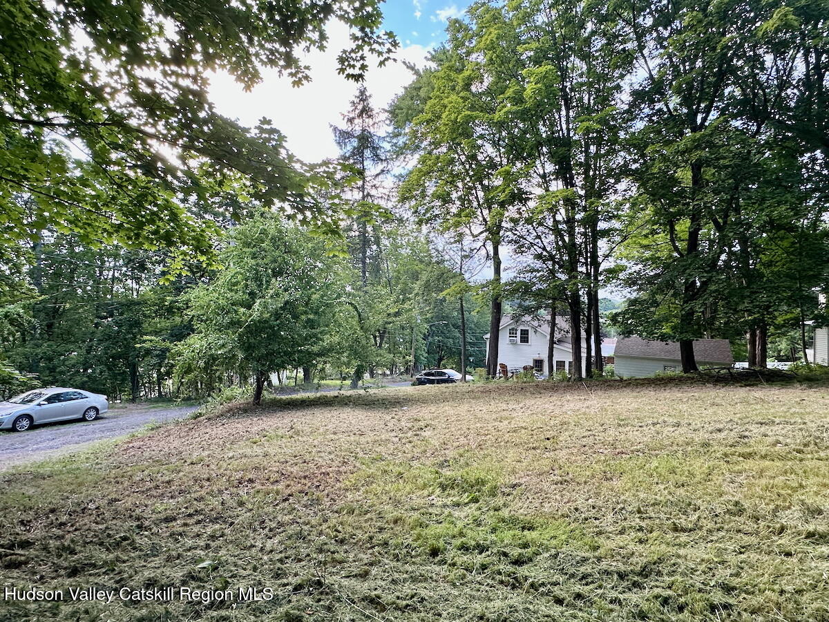 0 Murray Street, Unit PRIVATE Chatham, NY 12037 - Photo 3 of 19 a view of a yard with a tree